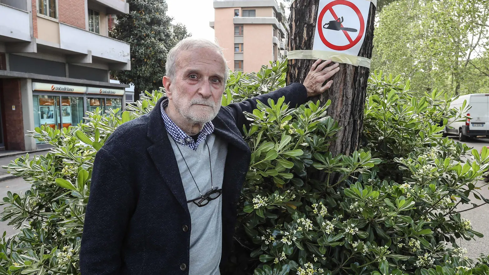 Viale Redi Ambientalisti all’attacco "Alberi sbagliati". Il Comune non ci sta Viale Redi Ambientalisti all’attacco "Alberi sbagliati". Il Comune non ci sta