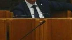 "Potenziare" l’abbattimento". Ok dalla Regione "Potenziare" l’abbattimento". Ok dalla Regione