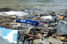 Lo scempio della plastica abbandonata 