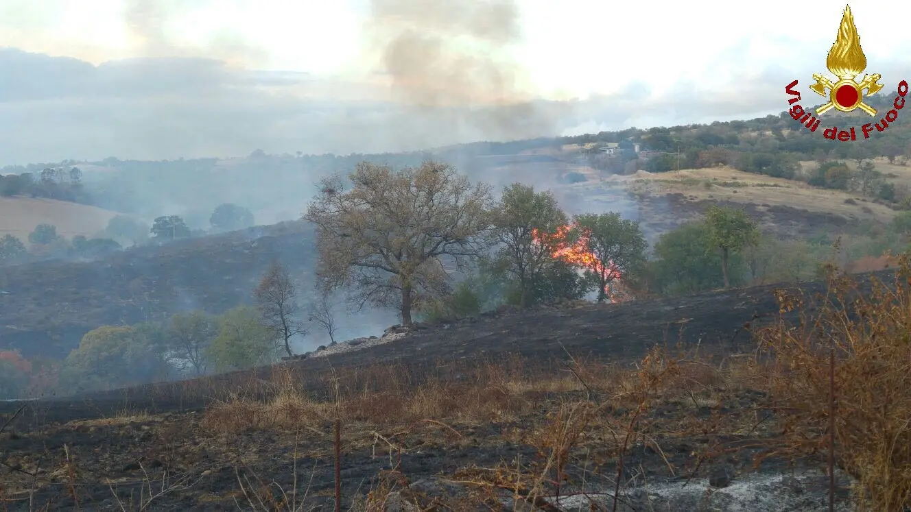 Scansano, incendio nel bosco / FOTO e VIDEO