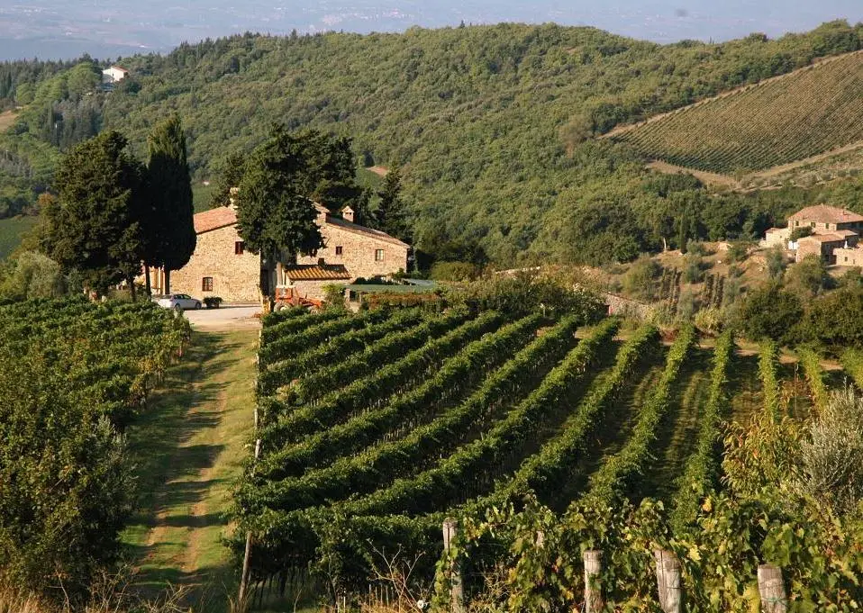 Chianti, un territorio sempre più bio secondo i dati della Regione Toscana