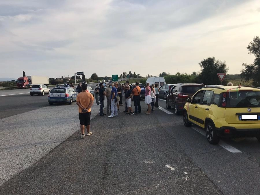 immagine di sfondo 1