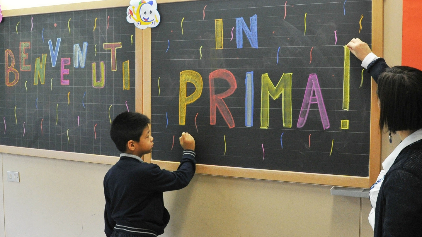  I bambini della scuola primaria in provincia sono 7154, 107 in meno rispetto all’anno scorso