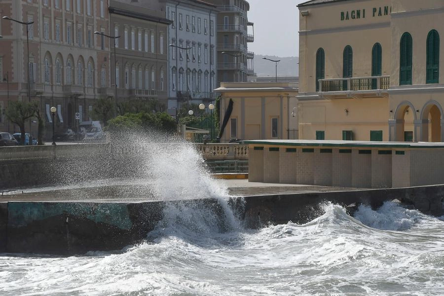 immagine di sfondo 12