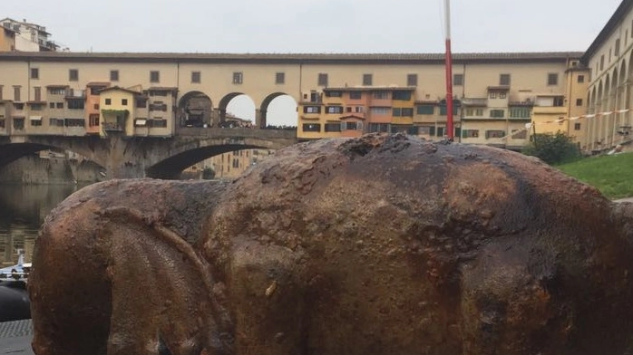 La statua dell’elefantino ripescata in Arno l’altro ieri