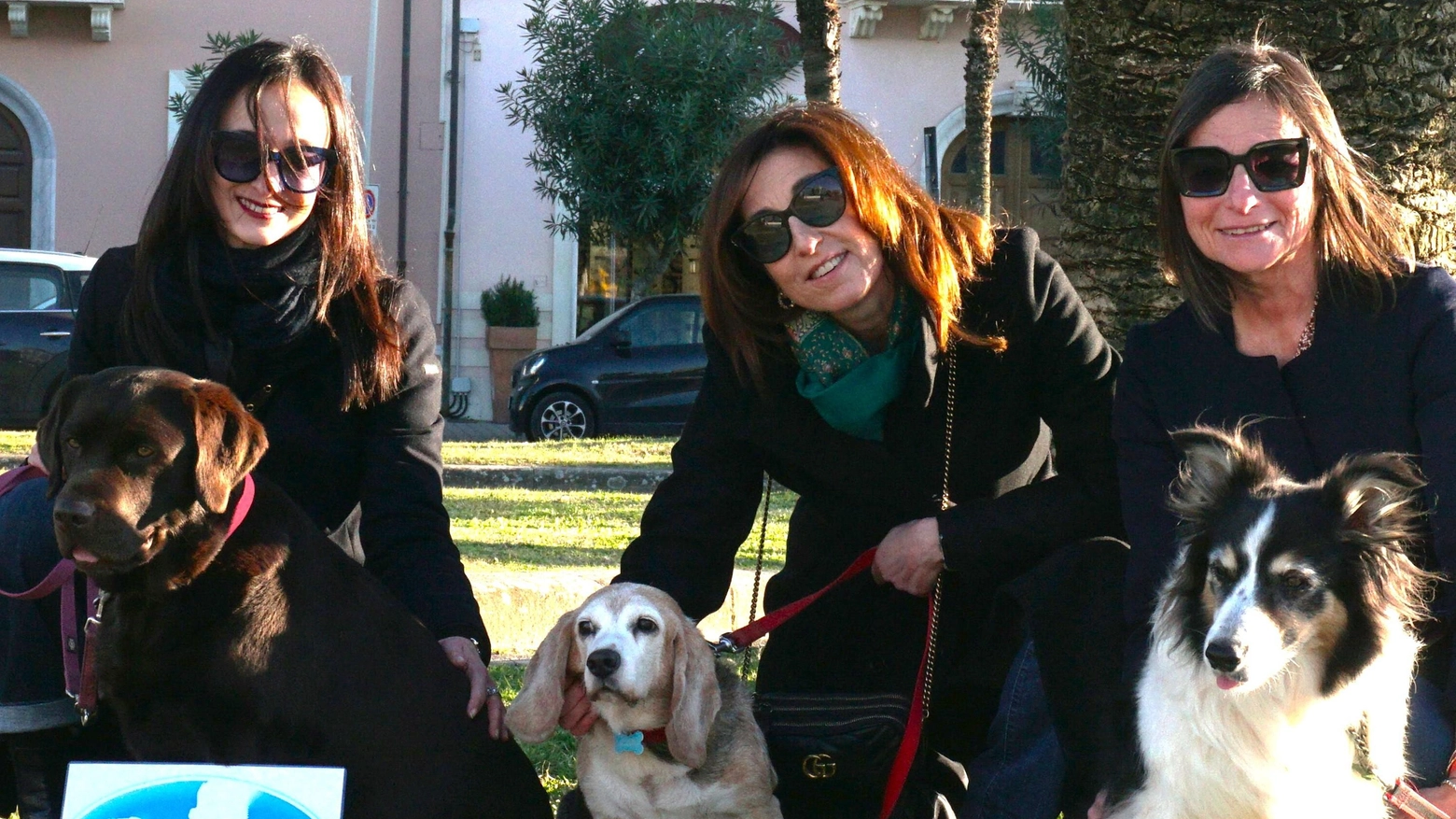 I diritti degli animali Ecco un pool di avvocate I diritti degli animali Ecco un pool di avvocate