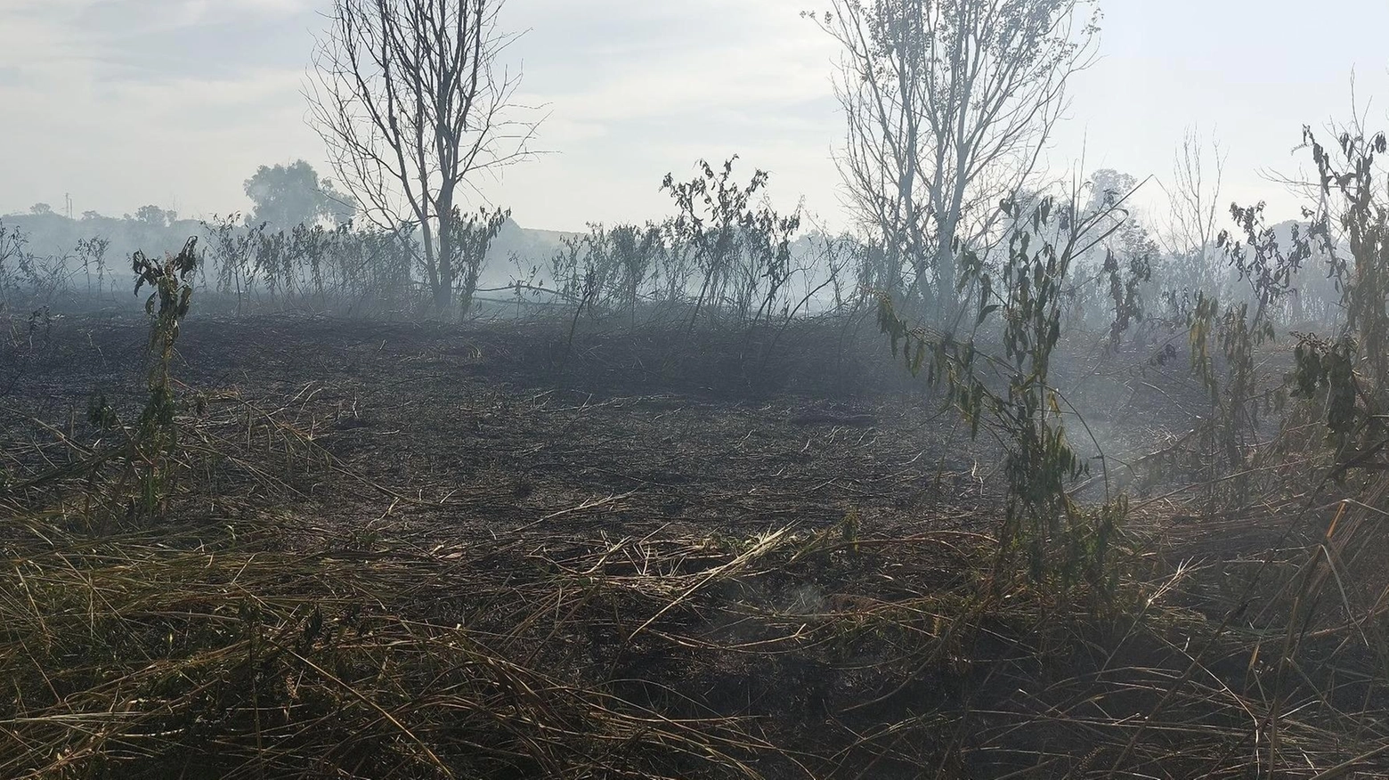 Incendio di torba  Weekend di miasmi