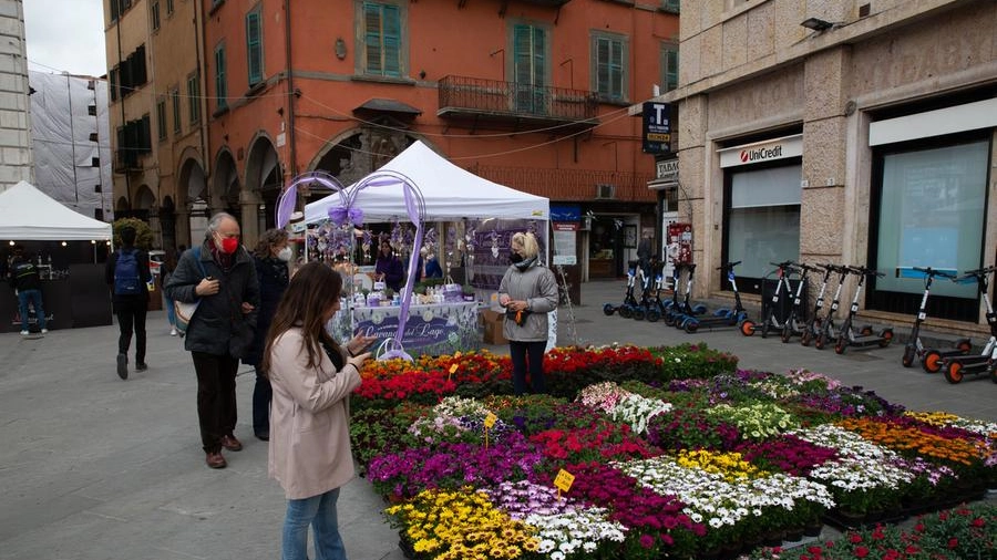 Taglio del nastro per la mostra mercato del florovivaismo nel centro storico. Il sindaco Conti: "Migliaia di piantumazioni in strade e piazze entro Pasqua"