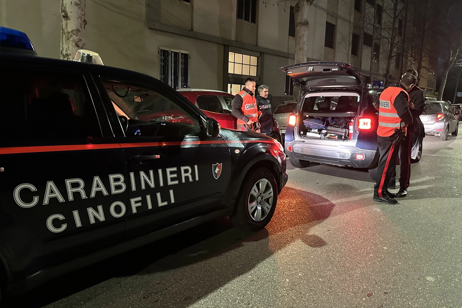 Il blitz dei carabinieri (foto Germogli)