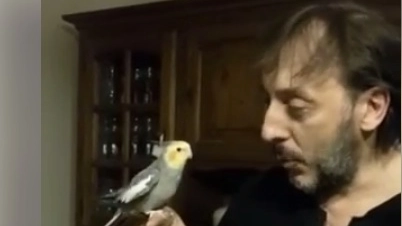 Massimo Ceccherini omaggia i viola della vittoria cantando con un pappagallino