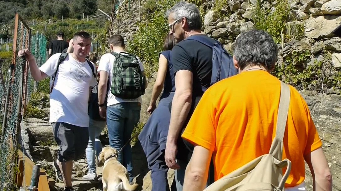 Sentieri ’a senso unico’ "Questione di sicurezza e tutela delle Cinque Terre" Sentieri ’a senso unico’ "Questione di sicurezza e tutela delle Cinque Terre"