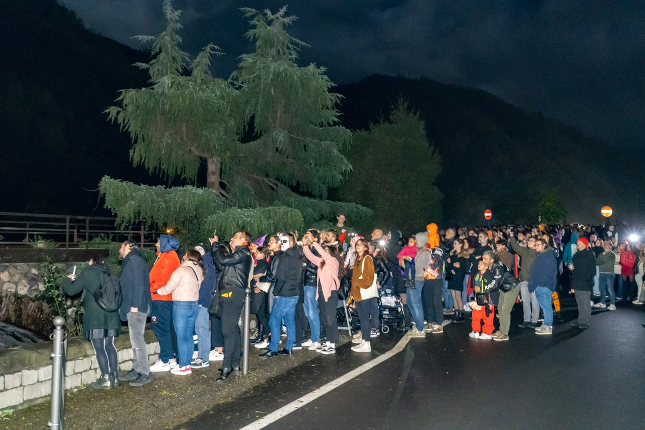 immagine di sfondo 3