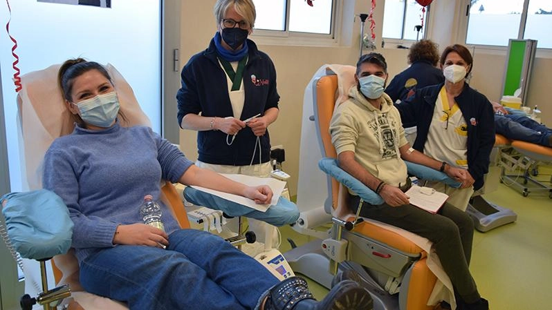 Donare il sangue anche la domenica . Tre appuntamenti al policlinico Le Scotte Donare il sangue anche la domenica . Tre appuntamenti al policlinico Le Scotte