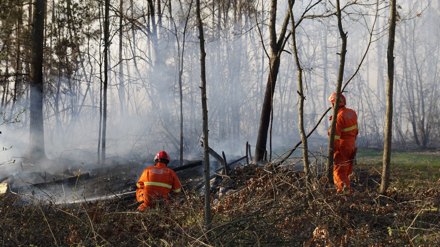 Incendio nei boschi di Fucecchio (foto Sarah Esposito / Germogli)