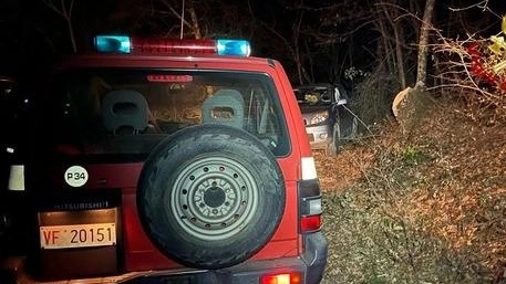 Nel bosco per raccogliere legna  Ucciso da un malore a 65 anni