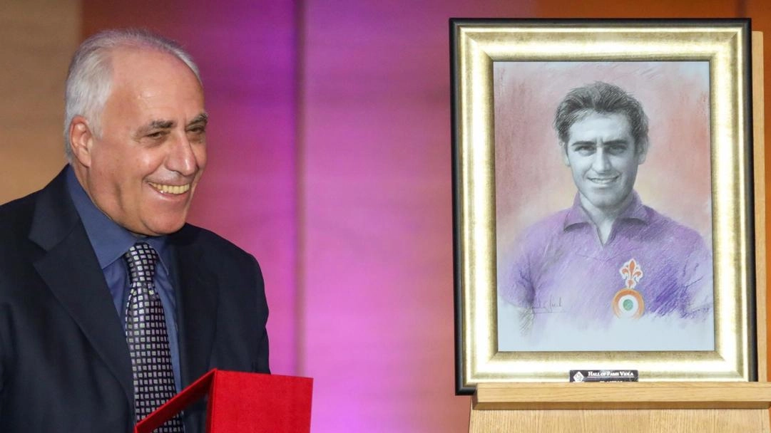 Il cuore, le origini, i ricordi: "Siamo davvero... Desolati. Ma la mia viola è più forte" Il cuore, le origini, i ricordi: "Siamo davvero... Desolati. Ma la mia viola è più forte"
