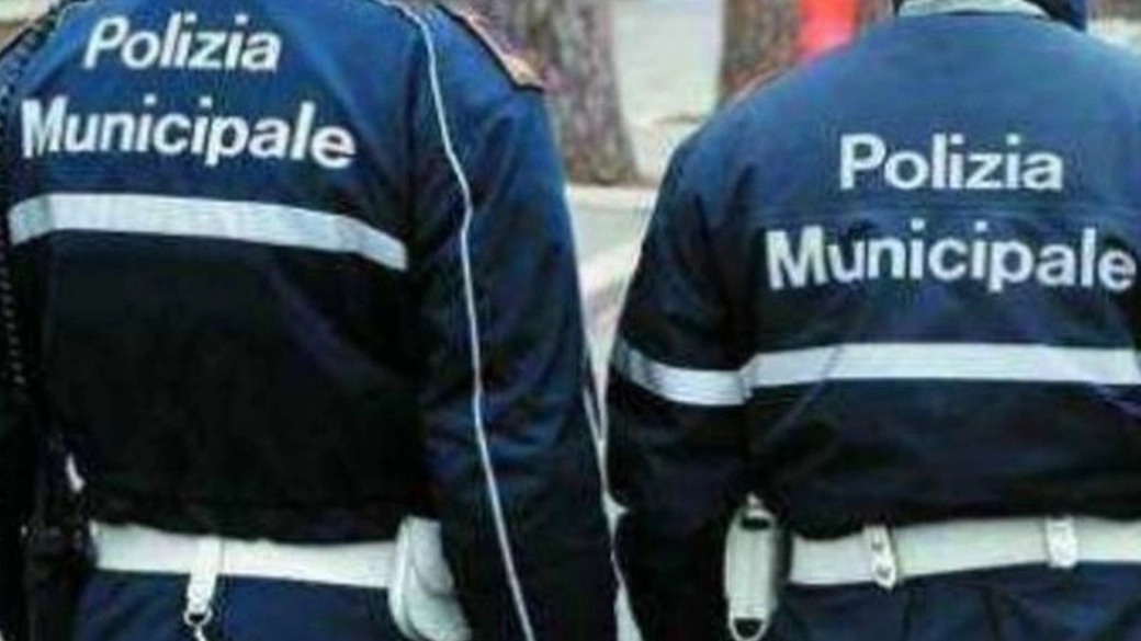 Sull'episodio indaga la polizia municipale Sull'episodio indaga la polizia municipale