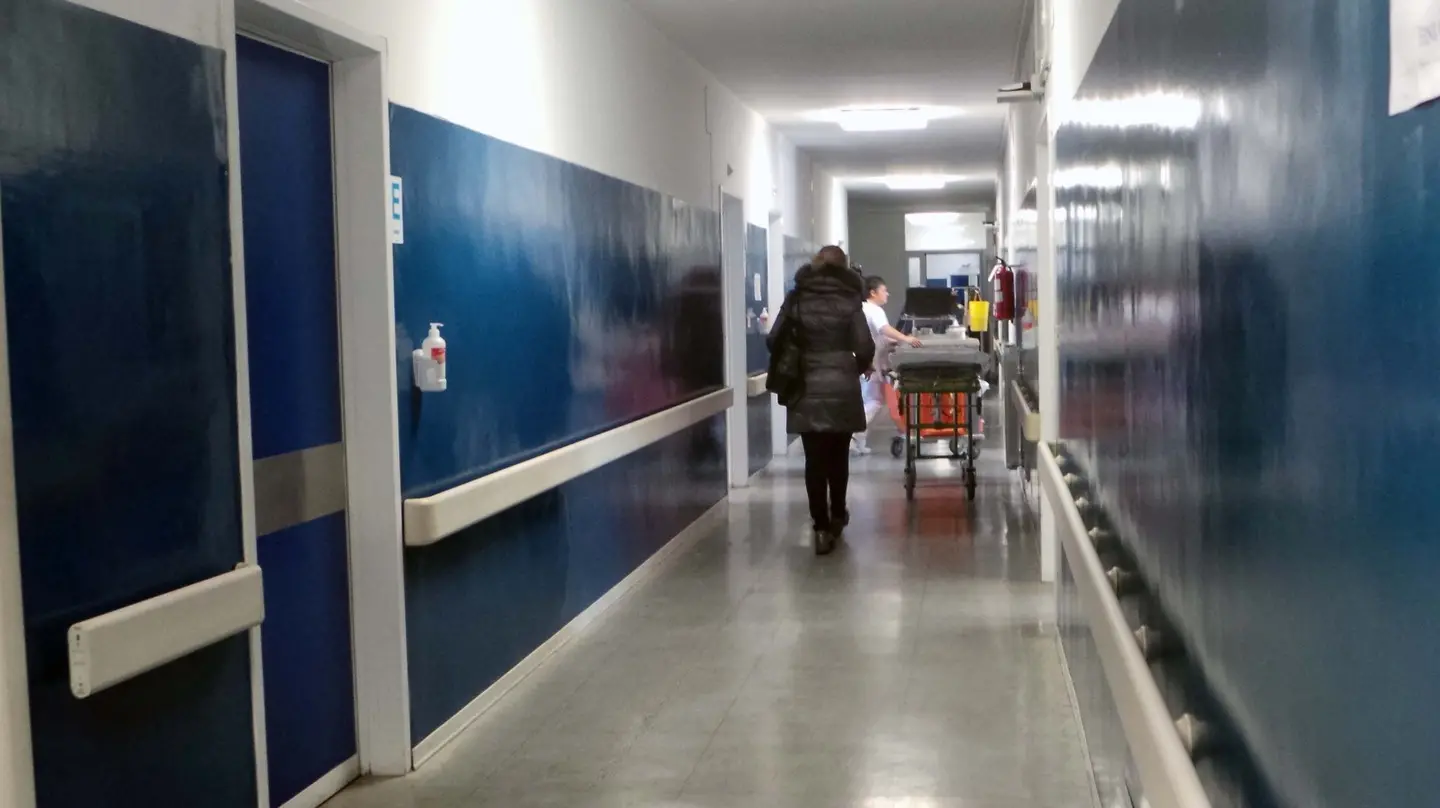 Nuovo caso di influenza «suina»: è il quinto