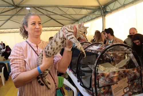 immagine di sfondo 20