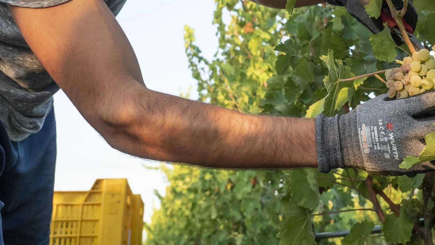 Cambiamenti del clima e nuova agricoltura. L’incontro in sala Vangi Cambiamenti del clima e nuova agricoltura. L’incontro in sala Vangi