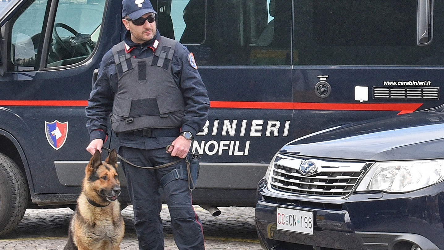In piazza delle Vettovaglie sono intervenuti anche i cani antidroga dei carabinieri