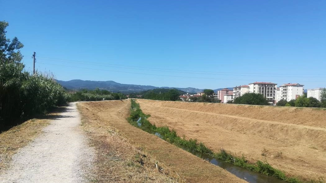 consorzio consorzio