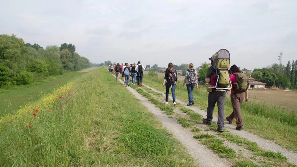La Via Romea Germanica . Verso Signorelli e Perugino La Via Romea Germanica . Verso Signorelli e Perugino