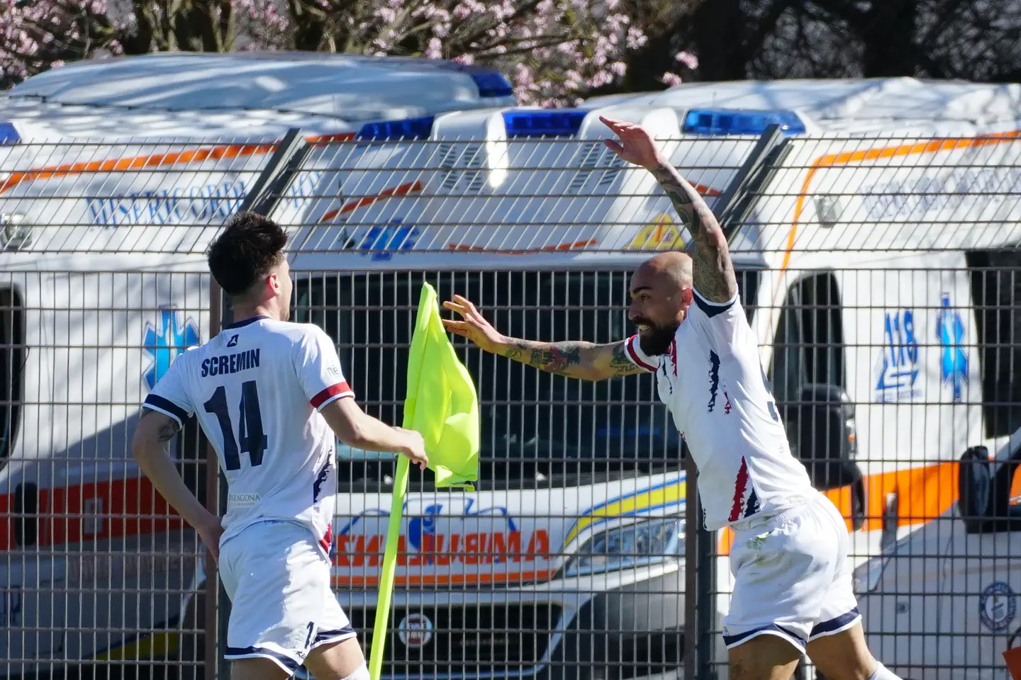 immagine di sfondo 39