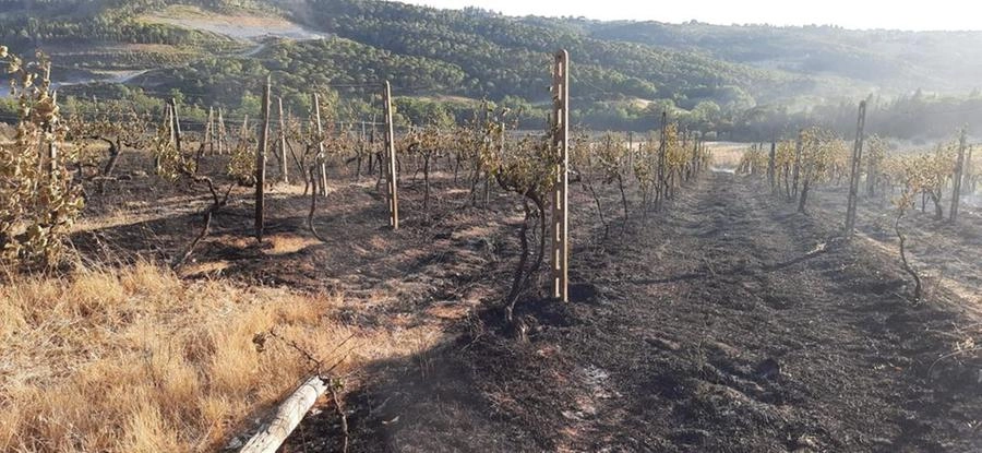 immagine di sfondo 1