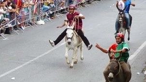 Il "Palio umoristico dei ciuchi" chiude gli eventi di settembre Il "Palio umoristico dei ciuchi" chiude gli eventi di settembre