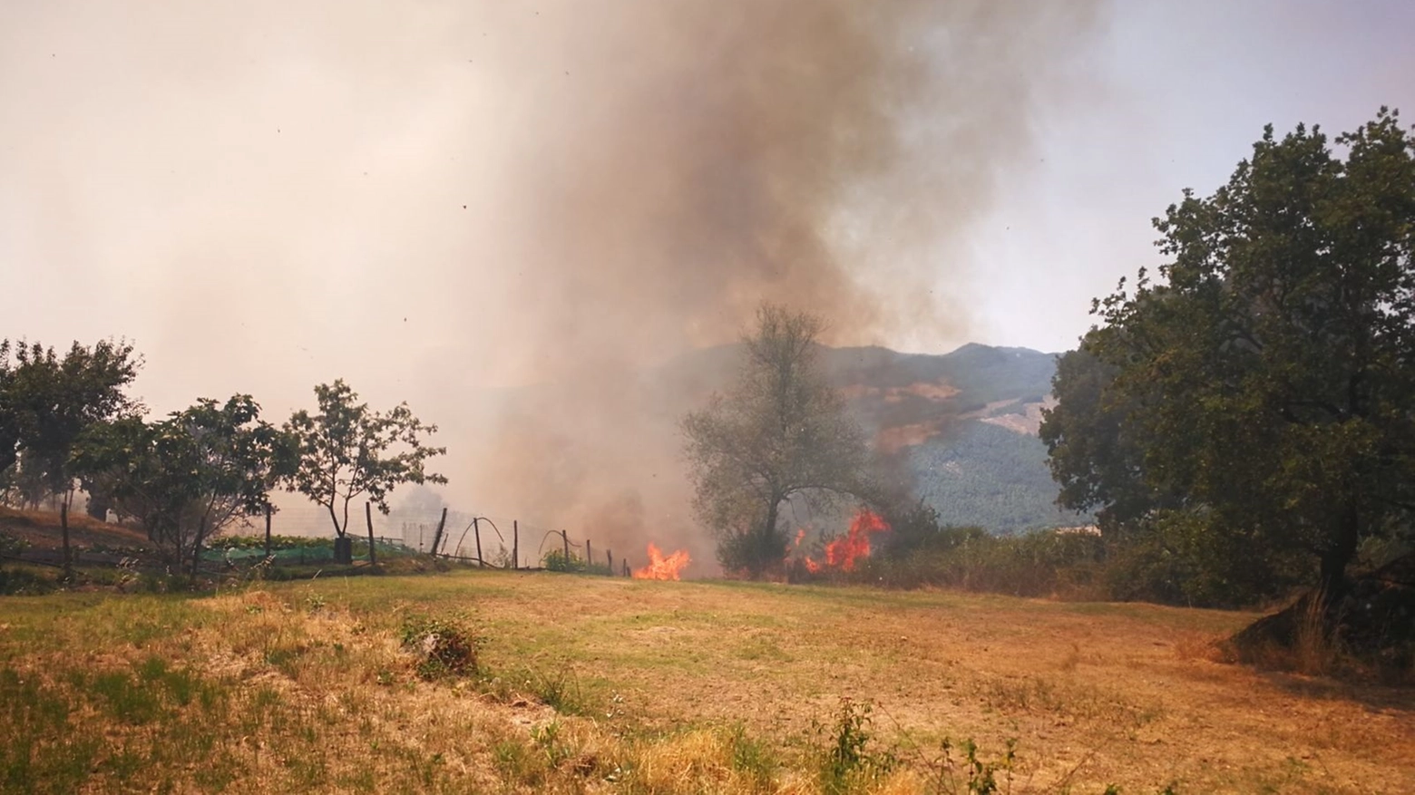 Un'immagine dell'incendio di Piancastagnaio