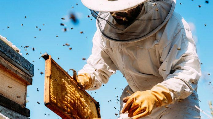 "Let it bee": al Pecci incontro sulle api