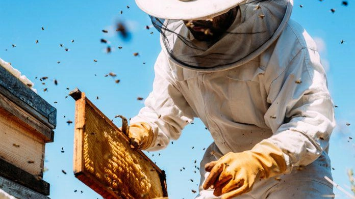 "Let it bee": al Pecci incontro sulle api "Let it bee": al Pecci incontro sulle api