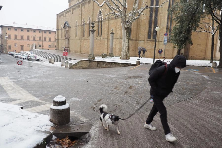 immagine di sfondo 13