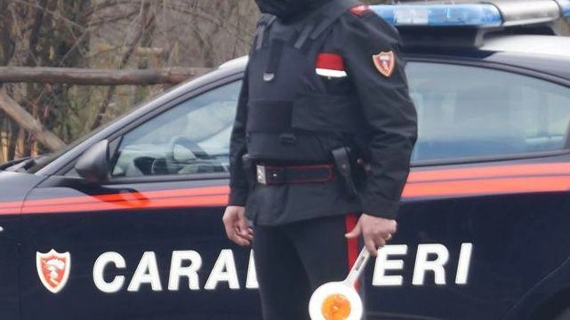 Si spoglia e orina in piazza Denunciata col compagno Si spoglia e orina in piazza Denunciata col compagno