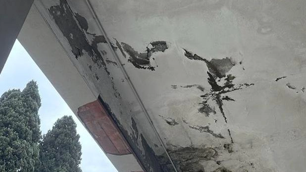 Cimitero, Palandri va all’attacco "Ala chiusa, infiltrazioni e pericoli" Cimitero, Palandri va all’attacco "Ala chiusa, infiltrazioni e pericoli"