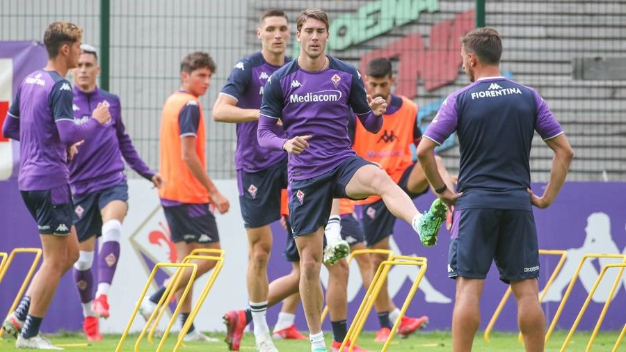 Un ritiro estivo della Fiorentina a Moena