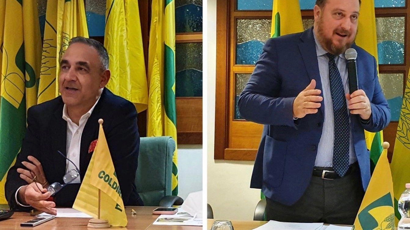 Sos cinghiali e lupi "Aziende sotto assedio Campagne a rischio spopolamento" Sos cinghiali e lupi "Aziende sotto assedio Campagne a rischio spopolamento"