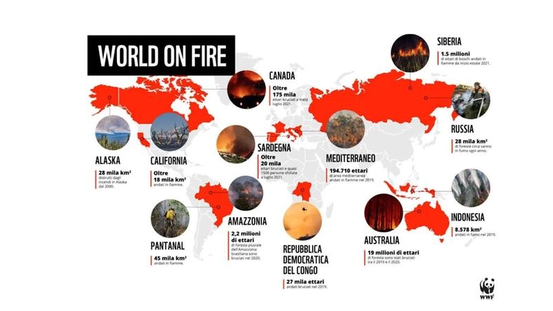 Il mondo brucia (grafico WWF Italia)