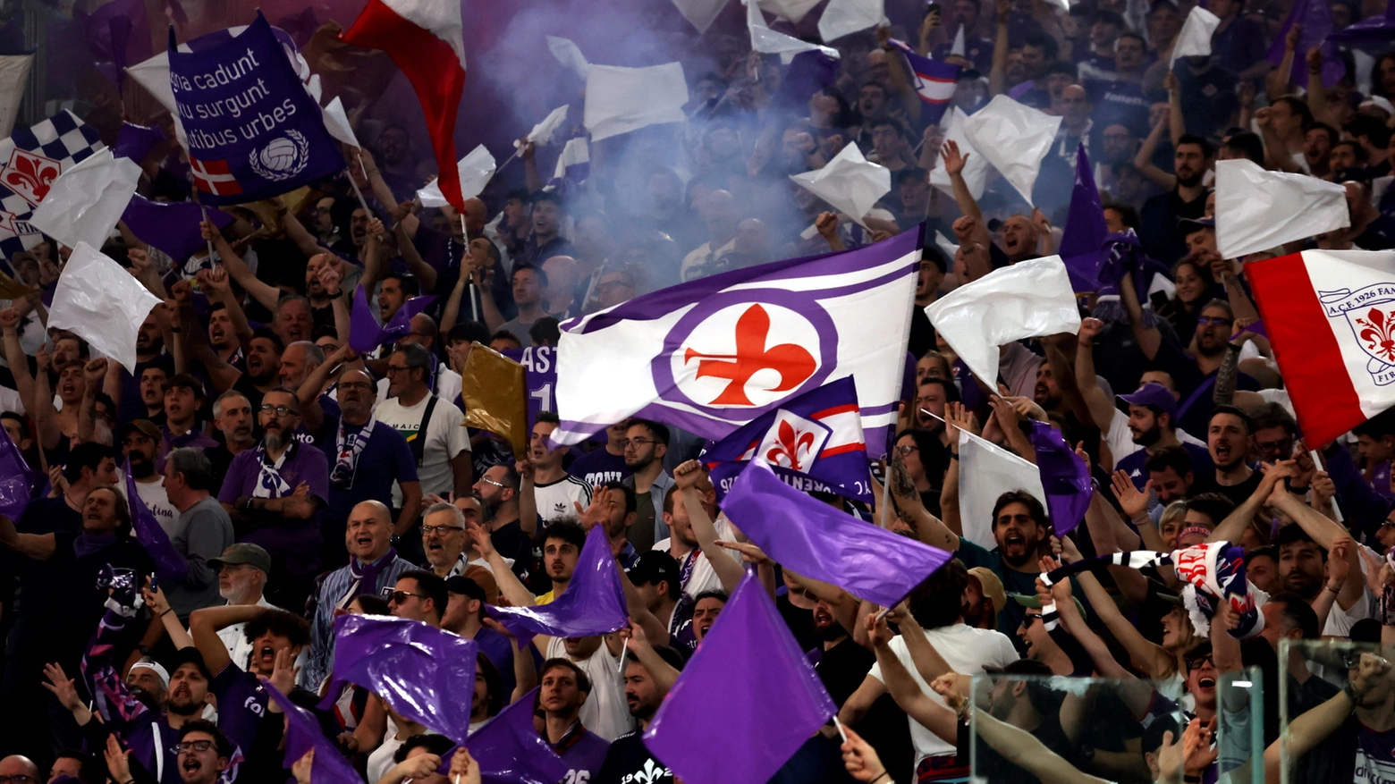 Tifosi della Fiorentina Tifosi della Fiorentina