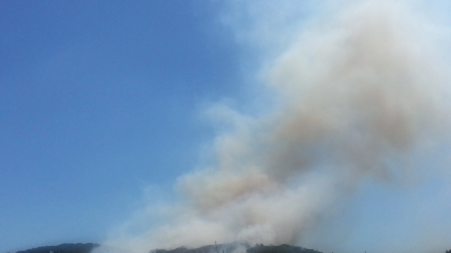 La foto dell'incendio del bosco sulle colline di Scandicci, vicino a Chiesanuova