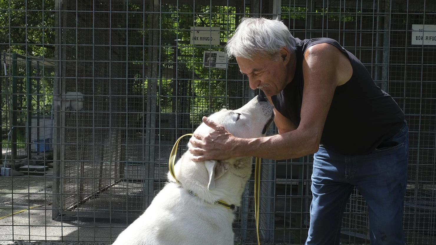 Alla scoperta della struttura all’avanguardia situata a Groppoli di Mulazzo. Il dirigente Piccioli: "Qui gli animali sono di passaggio e cercano famiglia".