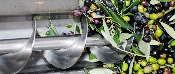 immagine di sfondo 13