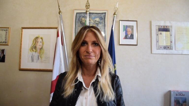Silvia Chiassai Martini è intervenuta in vista dell'imminente apertura della Conferenza dei Servizi, che dovrà decidere sul futuro della discarica.