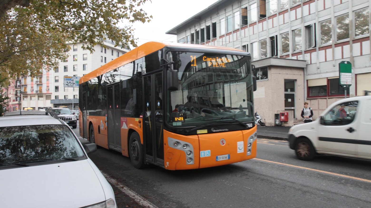Un autobus Atc (foto Frascatore)