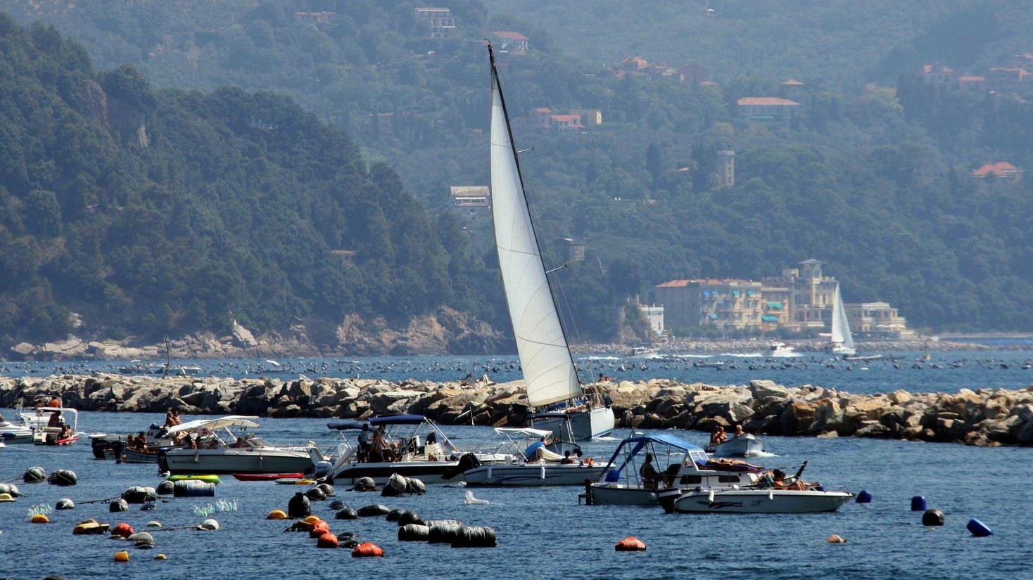 Petizione dei diportisti. Raggiunte le mille firme Petizione dei diportisti. Raggiunte le mille firme