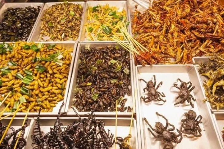 Esposizione di insetti cotti in un mercato asiatico