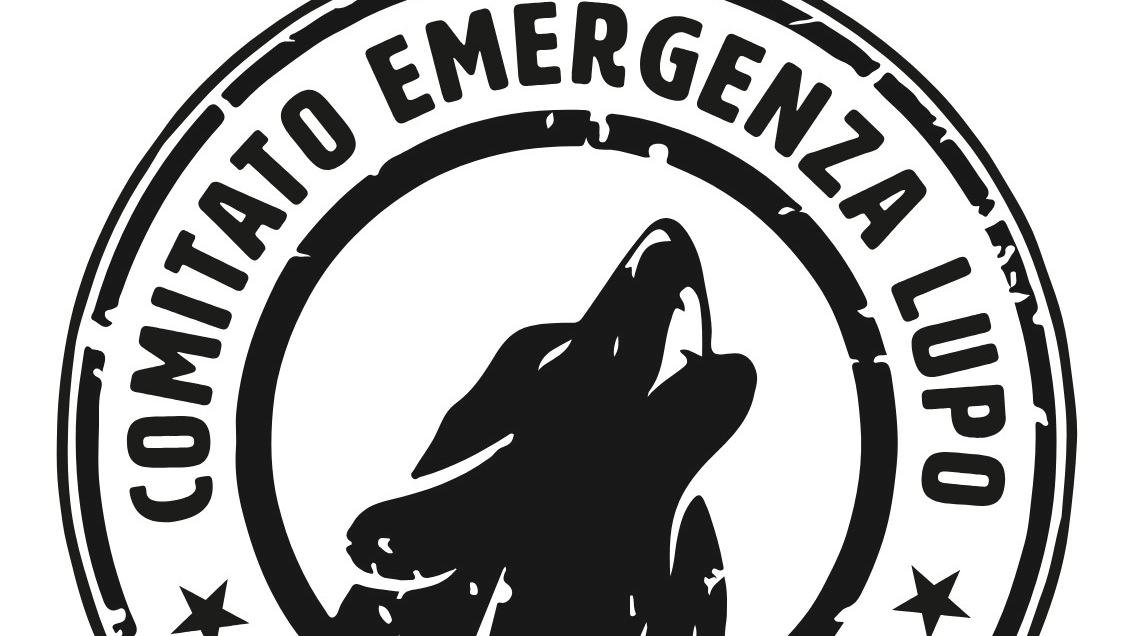 Il logo del comitato Il logo del comitato