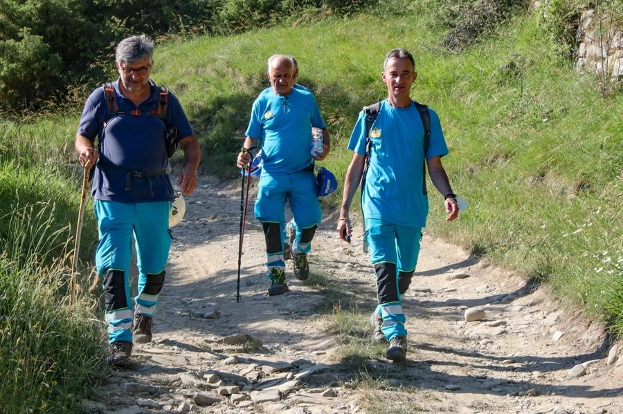 immagine di sfondo 17