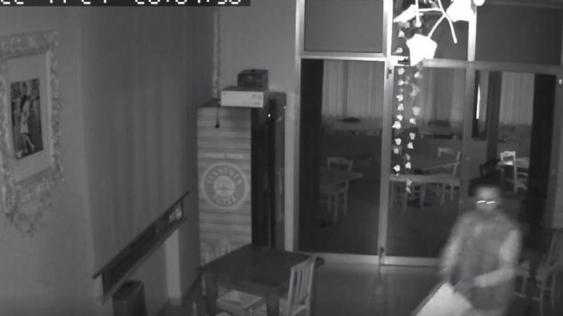 Il presunto ladro ripreso dalle telecamere interne del bar Cerri’s a Santa Croce